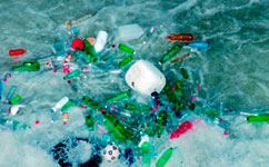 Plastic Found in Antarctic Seas