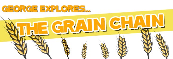 grain-chain-banner