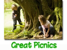 great-picnics-button