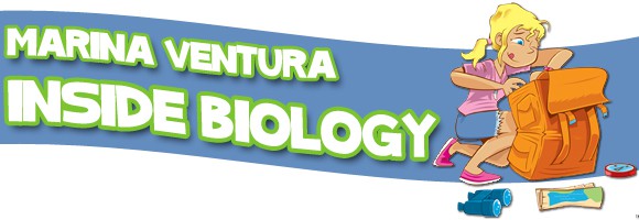 inside-biology-banner