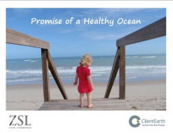 promise-healthy-planet