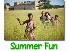 summer-fun-button