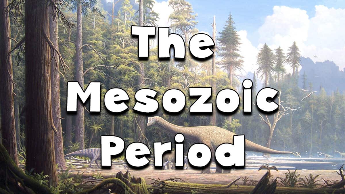 Geology Rocks - The Mesozoic Period - Fun Kids - the UK's children's ...