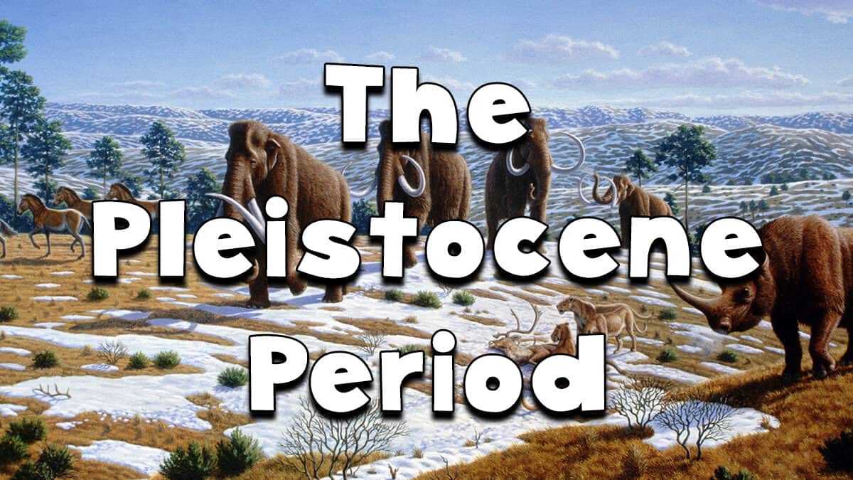 Pleistocene epoch: The last ice age