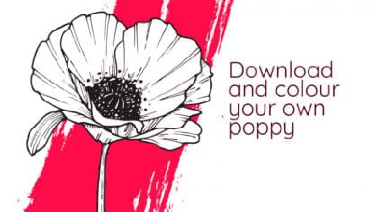 Download the free poppy colouring sheet - Fun Kids - the UK's children