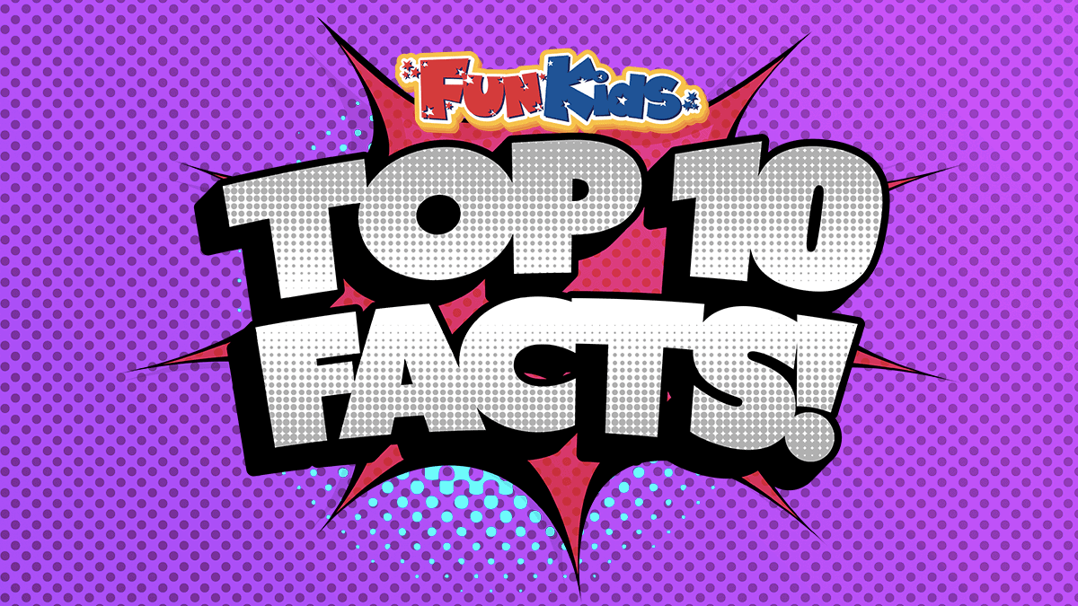 Top 10 Facts About The NFL! - Fun Kids - the UK's children's radio station