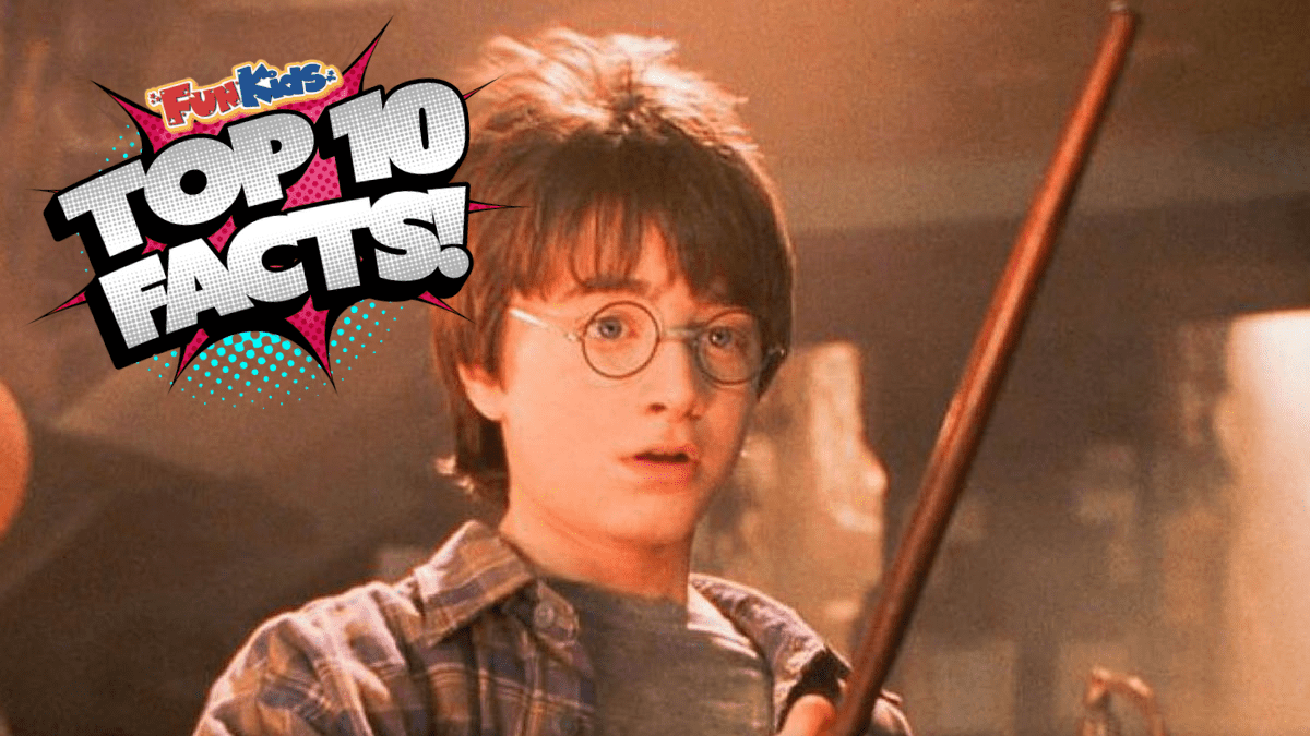 10 Things Harry Potter Fans Didn't Know About Quidditch