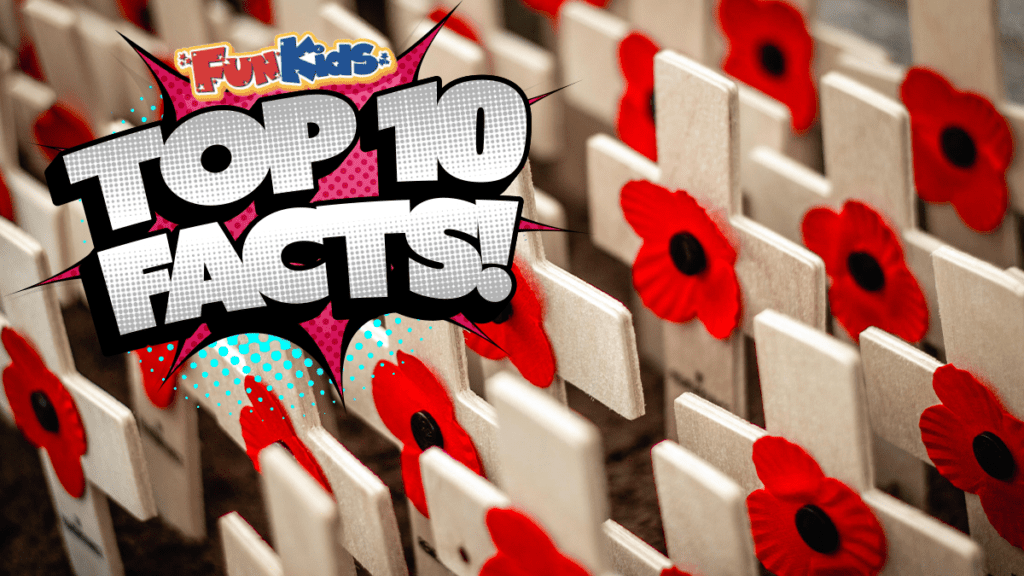 top-10-facts-about-remembrance-day-fun-kids-the-uk-s-children-s